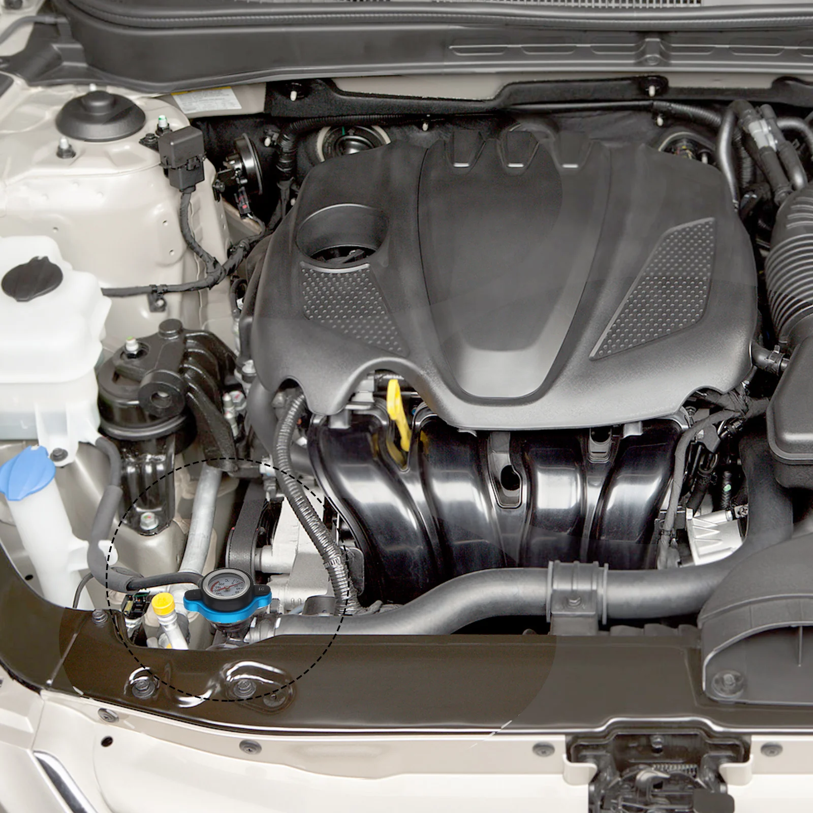 

Water Tank Cover 1.1 Bar Large Thermometer Radiator Temperature Gauge Easy Install Long Life Cover with Temperature Gauge