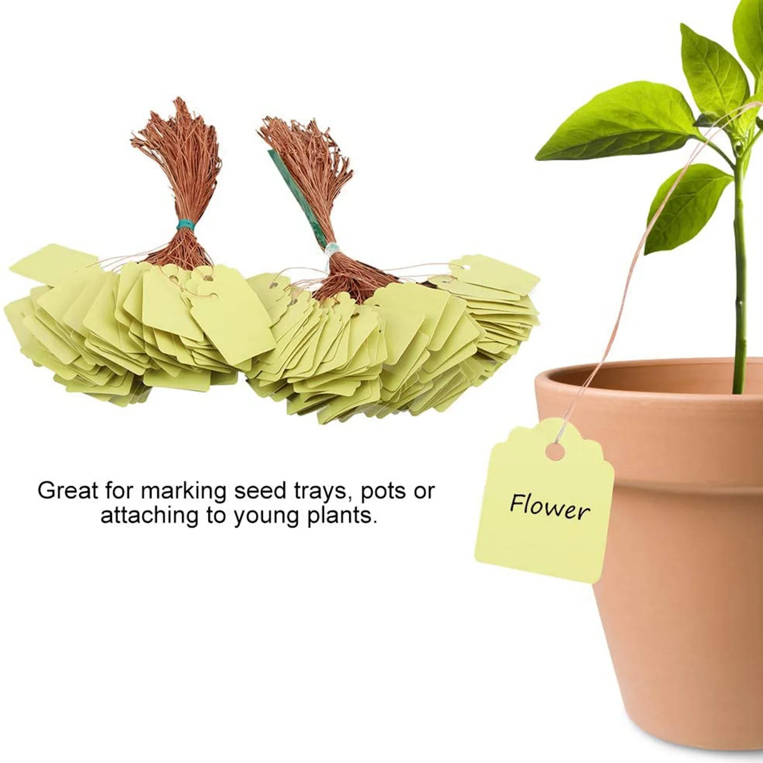 ABUH-200Pcs Plant Hanging Tag Waterproof Plastic Labels Reusable Garden Markers Blank Nursery Seed Name Tags With Strings