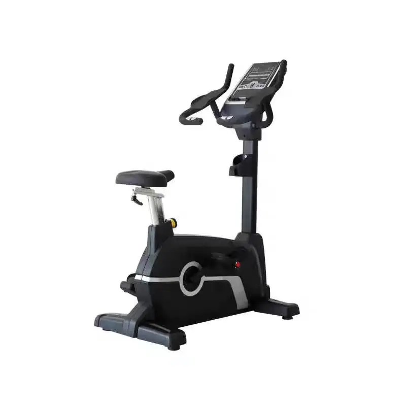 Upright Bike Magnetic System