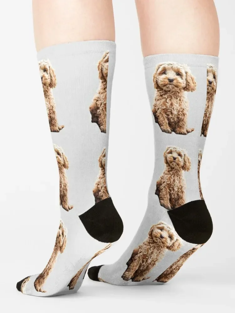 Cockapoo Cavoodle Labradoodle Cute Puppy Dog- Poodle x Socks christmass gift new in\'s Socks Ladies Men\'s