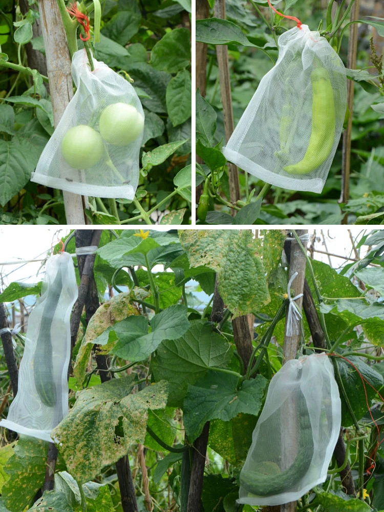 Insect-Proof Bag Fruit Fly-Proof Bird-Proof Bag Filter Screen Soaking Bag Grape Tree Fruit Bag Nylon Insect-Proofing Mesh Bag