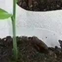 100PCS Plant Grow Bags Biodegradable Nursery Bag Non-Woven Fabric Plant To Sow Flower Pots For For Garden Accessories Tools
