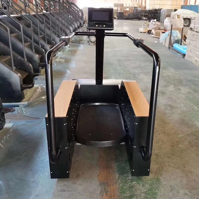 Skyboard-Wave Making Machine para Treinamento de Força, Musculação, Ginásio Fitness