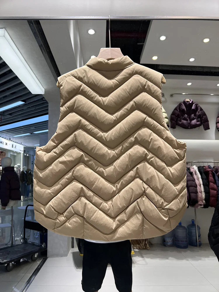 2025 winter new dish button rib design sense down jacket women's short style versatile stand collar white duck down vest