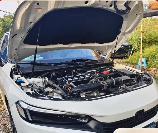 

2PCS Gas Struts For Honda Civic 11th 2022 2023 2024 2025 Front Hood Bonnet Modify Lift Support Shock Damper Absorber Prop Rods