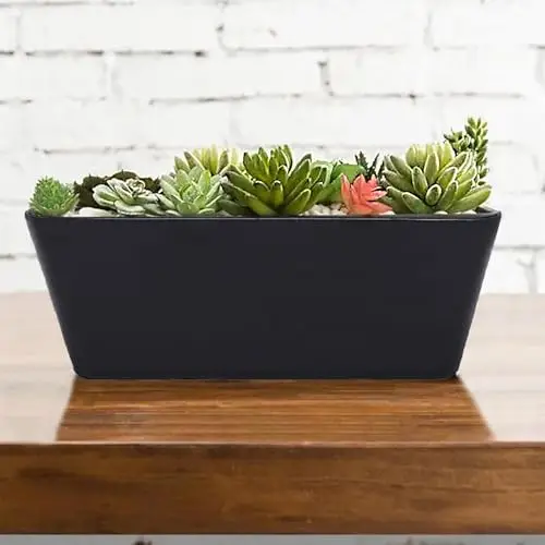 

Black 16-Inch Rectangular Sustainable Bamboo Planter With Built-In Self-Watering System For Indoor Outdoor Herbs And Succulents