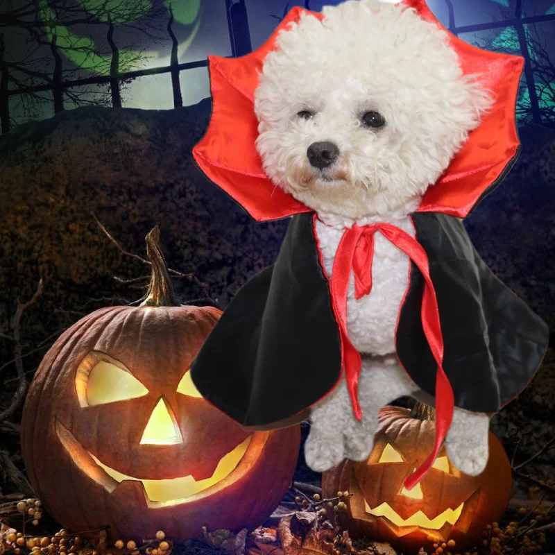 Ensemble de olympiques d'Halloween pour animaux de compagnie, chat festif, chien, sorcière, vampire, Everak, cosplay mignon, vêtements Kawaii, nouveau, 5 pièces