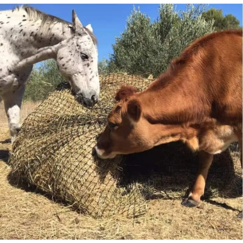 وحدة تغذية مستديرة لشبكة قش الحيوانات ذات تغذية بطيئة (4x4/5x5/6x6/7x7ft) #1