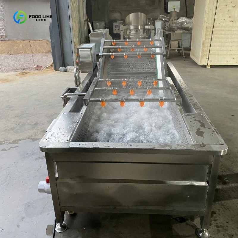 Fruit and Vegetable Bubble Cleaning Machine High Efficiency Bubble Washing Processing Machine FL Customized
