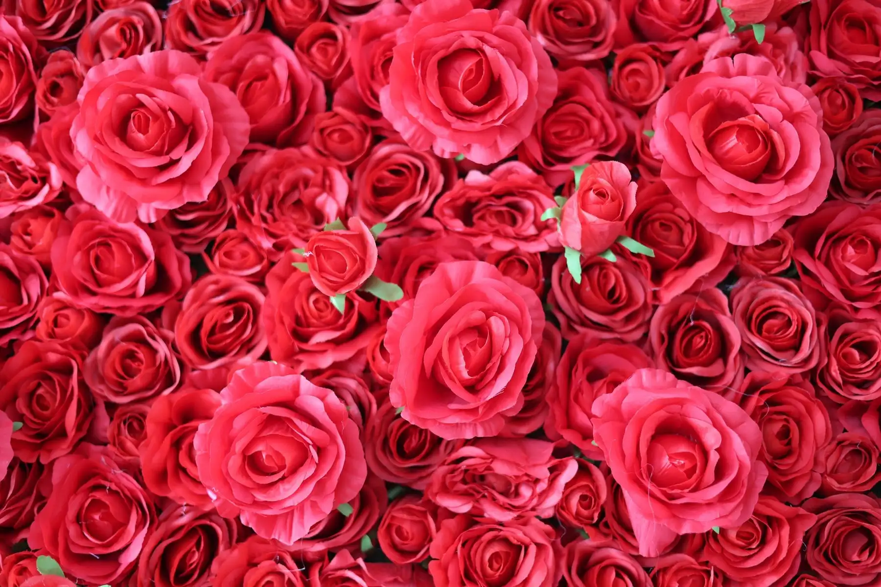 3D Wine red series roses Flower Wall, Artificial Rose Fabric Floral Wall, Outdoor Party Wedding Backdrop Decor, Window Display