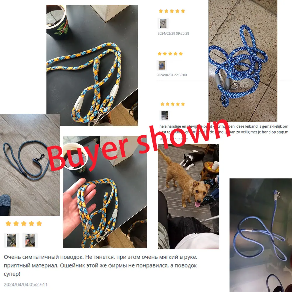 Collier et laisses classiques pour chien, 2 en 1, corde en maille noire, laisse en nylon, sangle antidérapante réglable, harnais pour chien