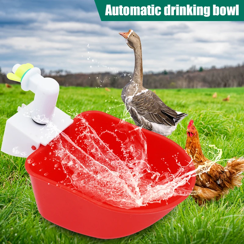 2 Pcs Goose Duck Chicken Automatic Drinking Bowl Cup Waterer Farm Turkey Quail Poultry Waterer Drinking Bowls Water Dispenser