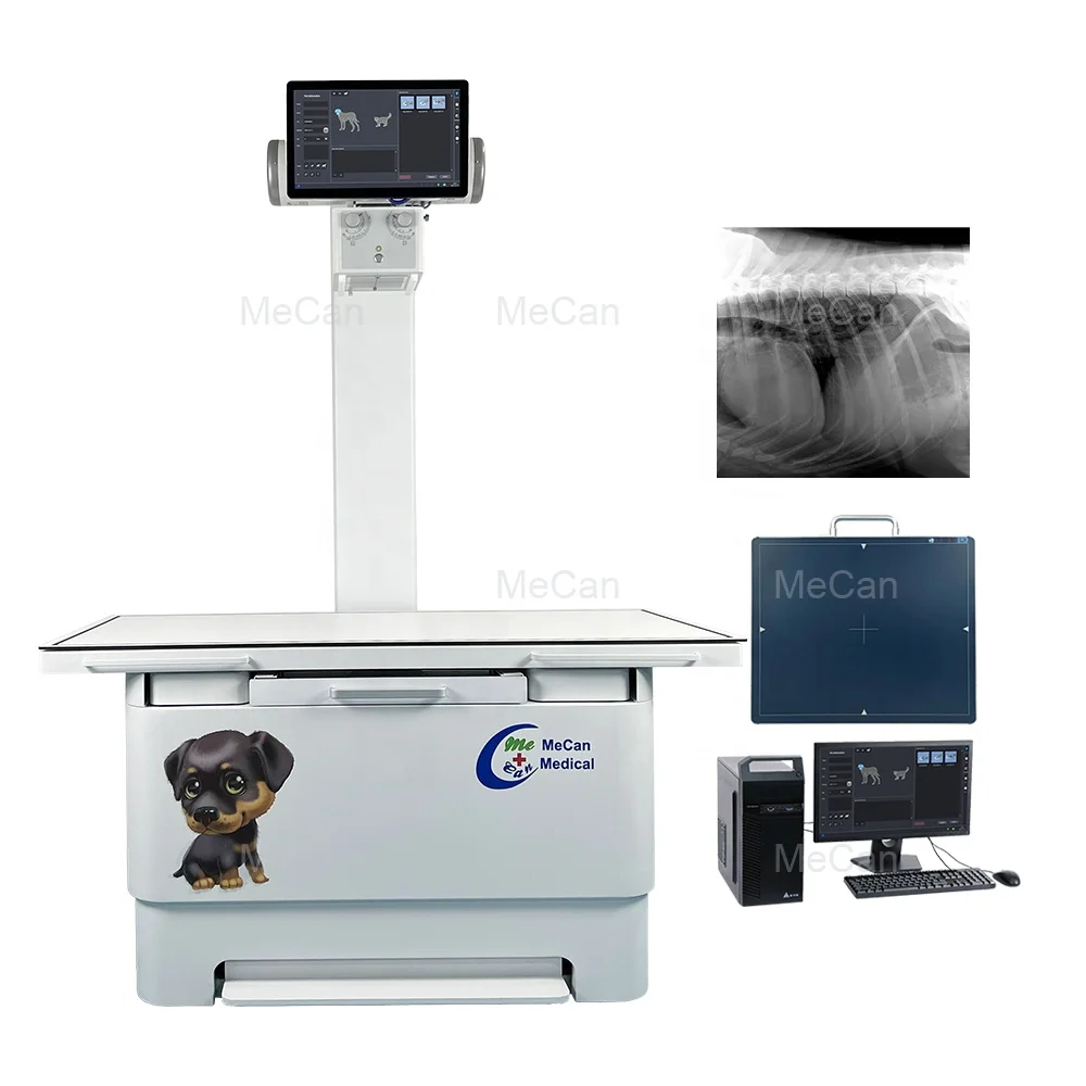 Stationary Animal X-ray Radiography Equipment Pet X Ray Machine Table Bed Portable Digital Veterinary Xray Machine For Vet