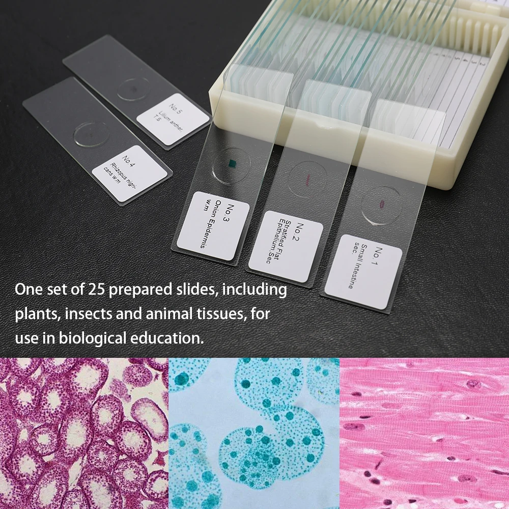 25PCS/Set Biological Glass Sample Prepared Basic Tissues Science Cover Slips Portable Microscope Slides Educational Samples