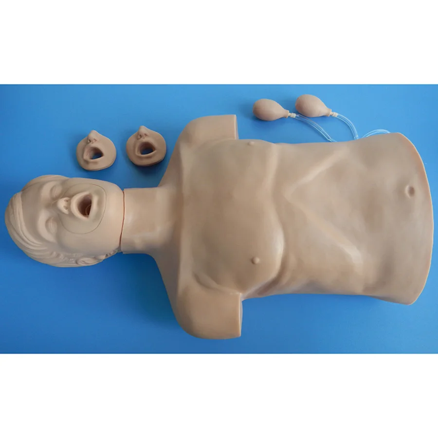 

Human Obstruction Model & Chocking Dummy,Half Body CPR Training Manikin,Adult Heimlich Maneuver Simulator