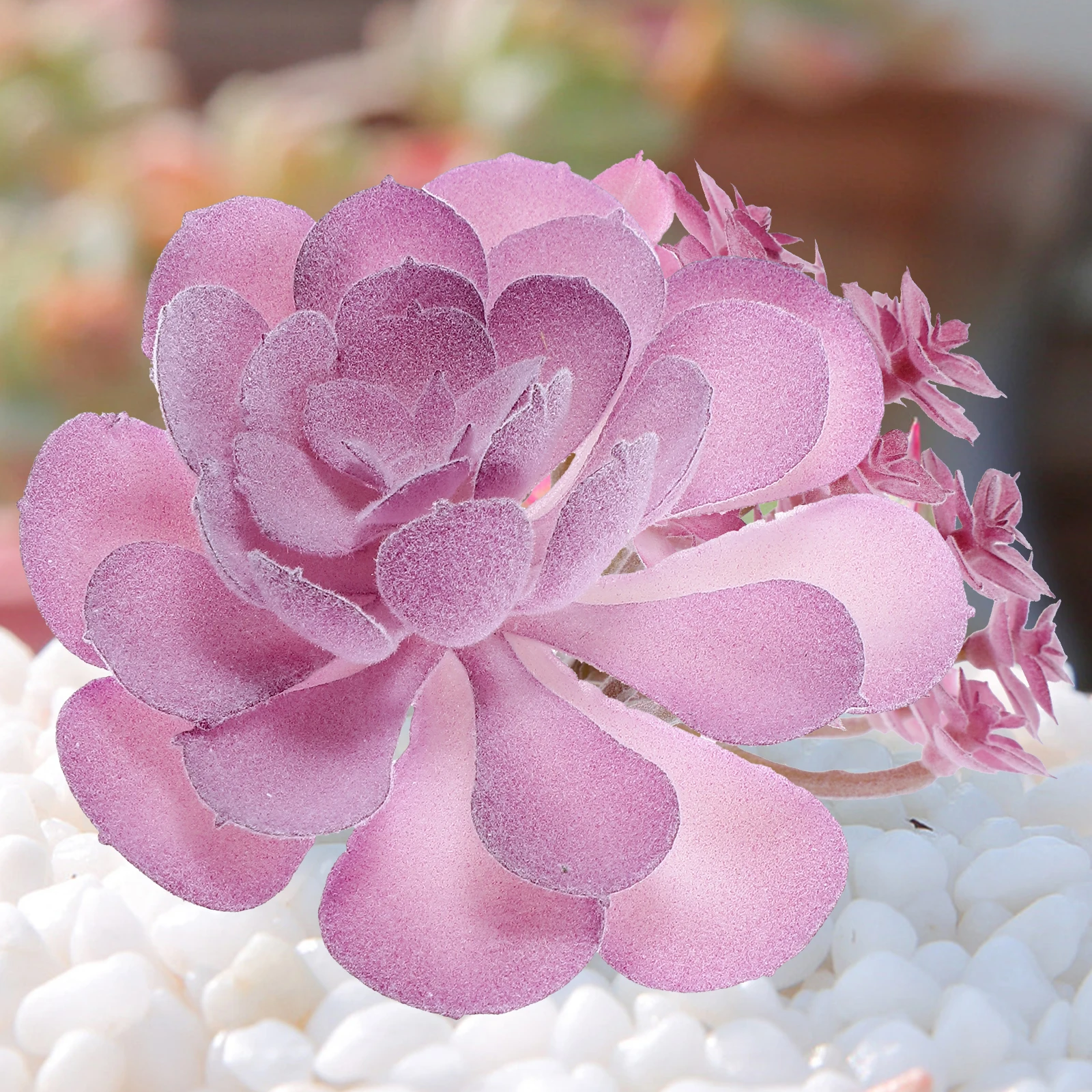 

9pcs Succulents Vivid Faux Plants DecorCreative DIY Accessories Purple Series Artificial Plant Plant Decorations