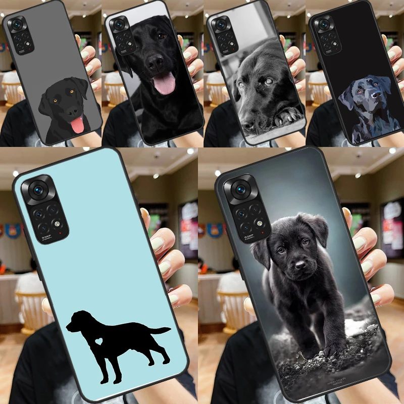 Black Labrador Dog …