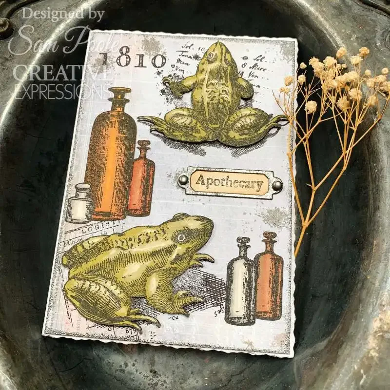 Halloween Collection Frogs Witches Brew Grass Water Bottle Falling Leaves Deer Bird Pumpkin Metal Cutting Stamp Stencil 2024 New