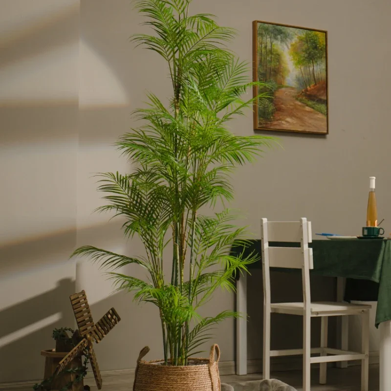 

Home Interior Living Room and Shop Window Greenery Bonsai Decoration Decoration