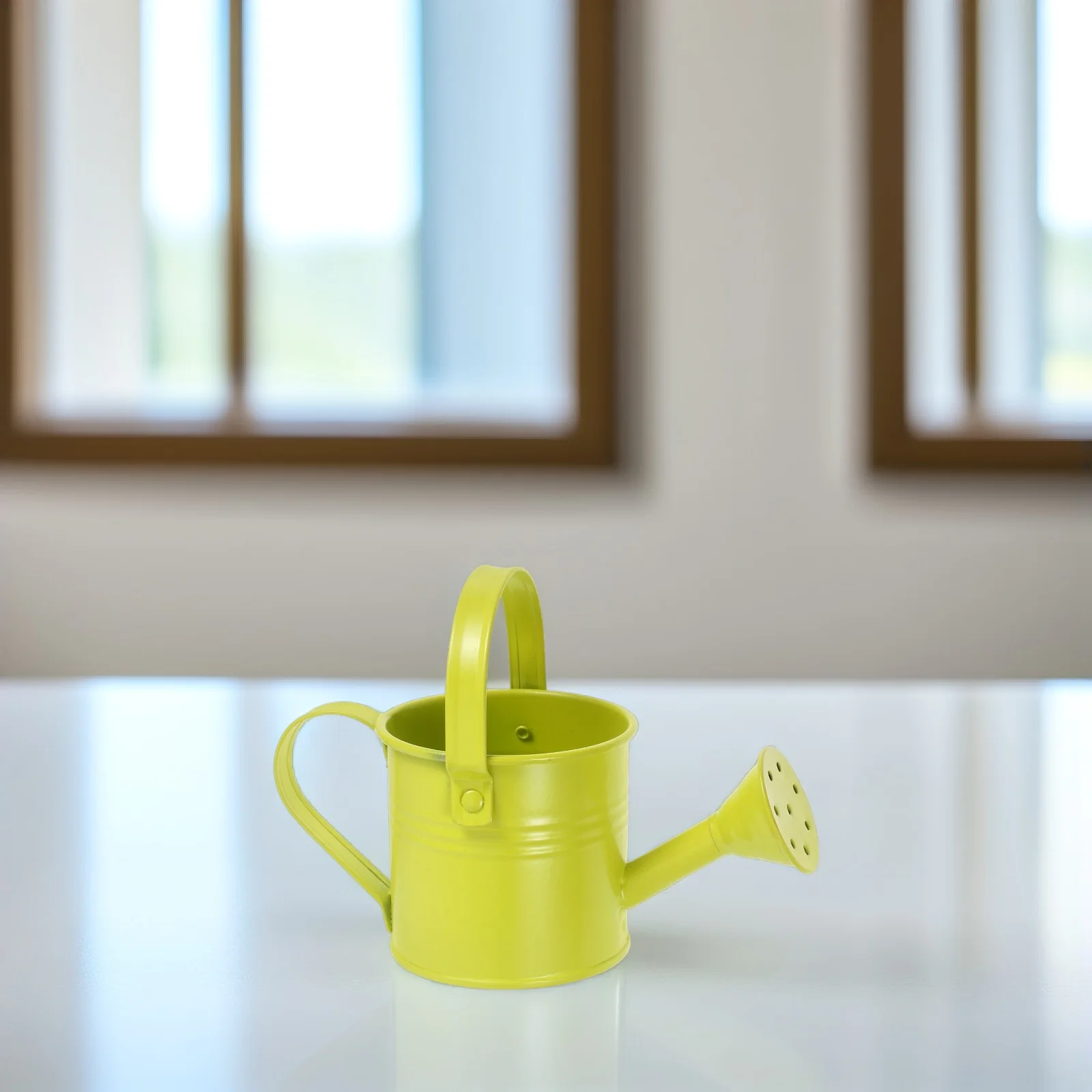 

Watering Pot Decorative Can Metal Houseplant Plants Fence Flowerpot Garden Indoor Cans for