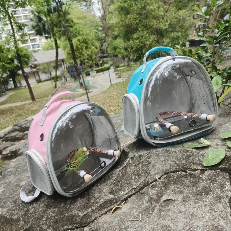 Imagem -05 - Portable Bird Travel Carrier Backpack Poleiro de Corda para Papagaio Gaiola de Pássaros Transparente Ombro Duplo Gruinea Pig