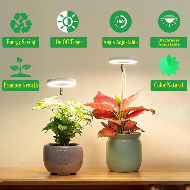 Indoor Growing Plant Lights LED Grow Light Full Spectrum Phyto Grow Lamp With 4 Level Automatic Timer For Indoor Plants Balcony