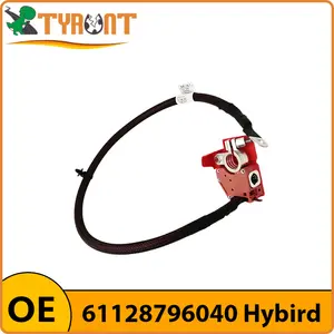 Bilashmart TYRNT Car Battery Positive Fuse Cable 61128795485 61128796040 BMW Hybird G05 G06 G07 F95 F96 X5 X6 X7 Replacement Parts