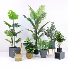 Faux Small Potted Green Plants