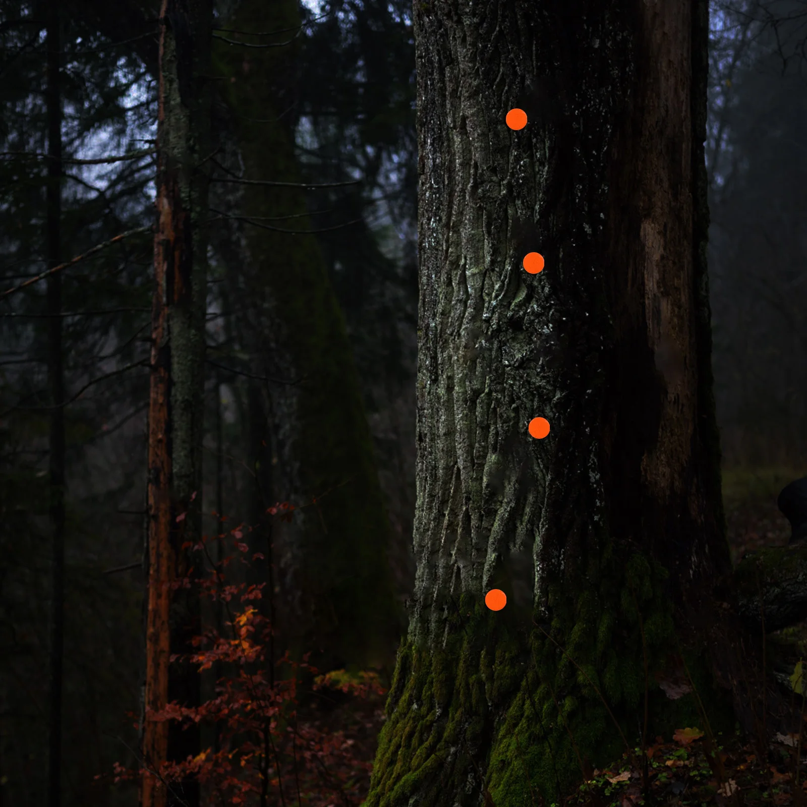 

50Pcs Reflective Glow Thumb Tacks Trail Markers Metal Push Pins for Hiking Camping Night Outdoor Reflective Thumb Tacks