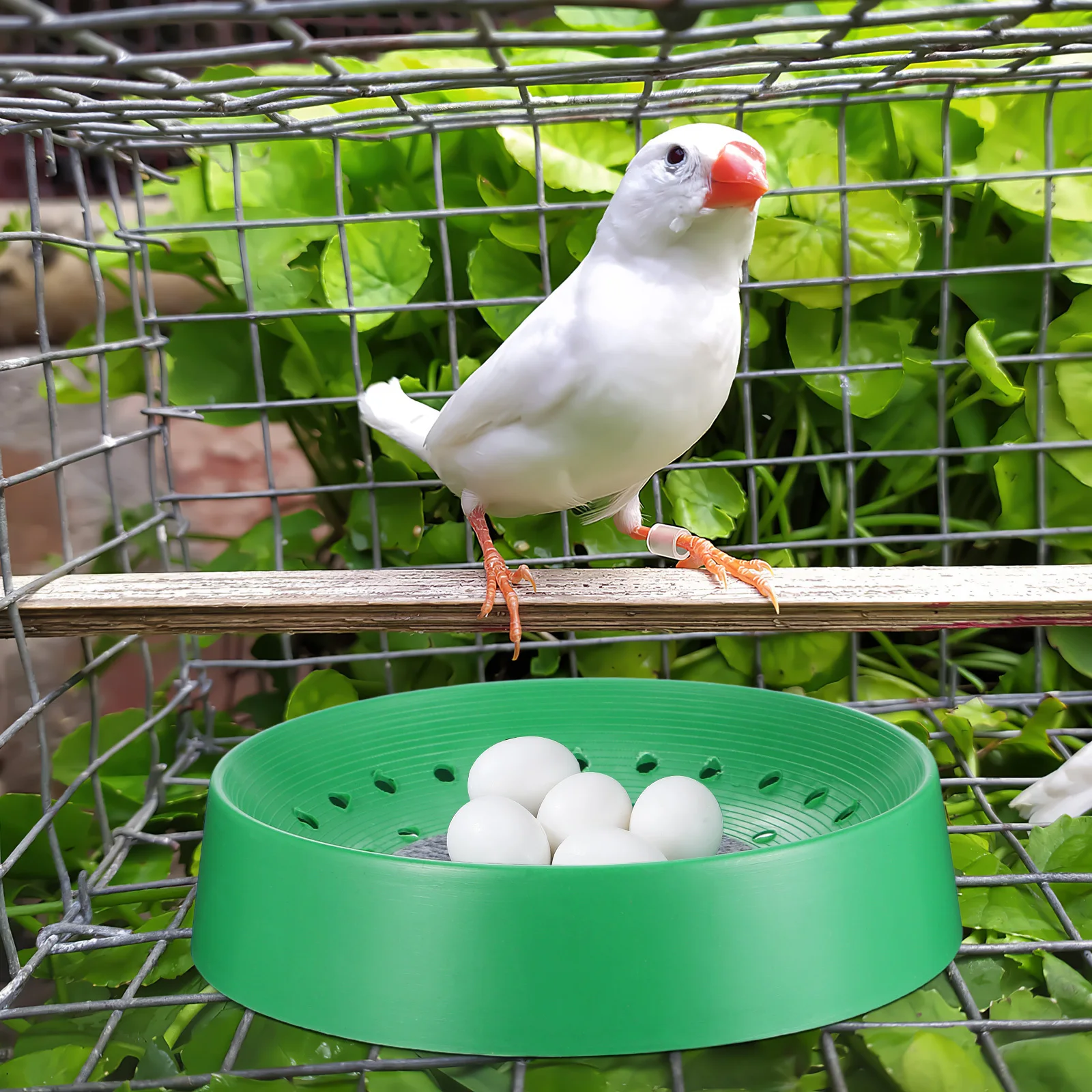 

10pcs Bird Nest Egg Basin Durable Washable Pet Parrot Pigeon Rest Bed Breeding Supplies Pigeon Accessories Farm Home Use