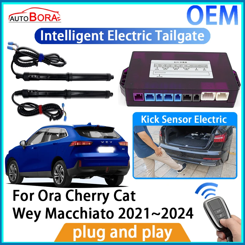 ZhuCamX Intelligent Electric Tailgate Automatic Lifting Kit Remote Control Opener Trunk for Ora Cherry Cat Wey Macchiato