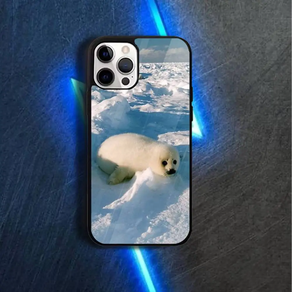 Casing HP Seal A-Animal C-Cute Untuk iPhone 17,16,15,14,13,12,11,Pro,Max,Plus,Mini,Magsafe, Casing Pengisian Daya Nirkabel Magnetik