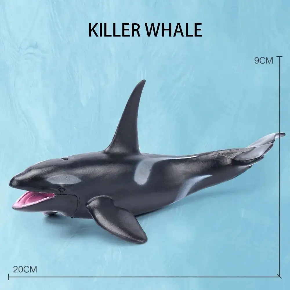 PVC จำลองสัตว์ทะเลคาชาลอตแอ็คชั่นฟิกเกอร์ของเล่นสัตว์ทะเลรุ่นฉลามปลาโลมาแฮมเมอร์เฮดของเล่นเด็กของขวัญ