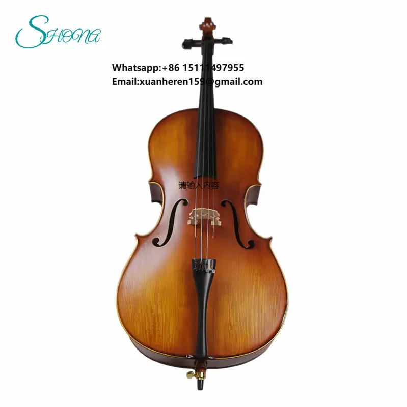 Professional Practice Matte Pattern Ebony Violoncello