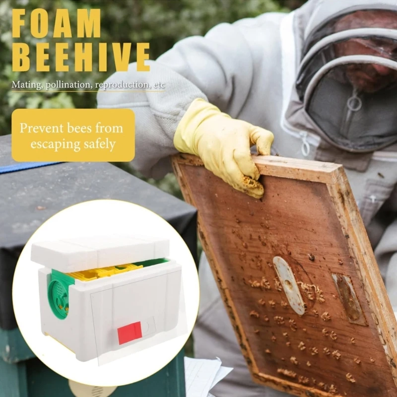Boîte d'accouplement d'abeilles, dispositif apicole, boîte d'élevage d'abeilles en plastique, boîte d'élevage d'abeilles