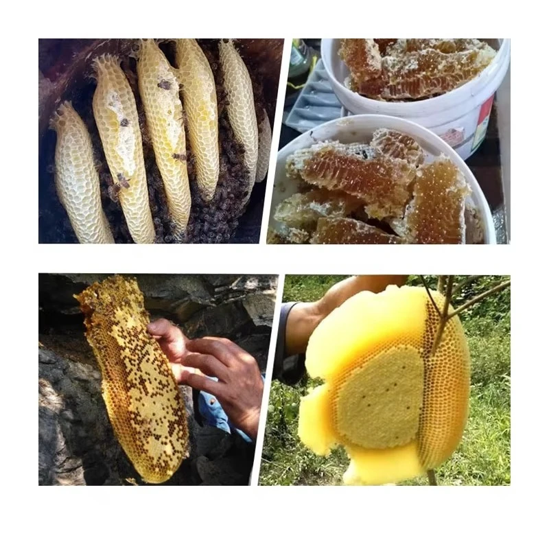 For Extracting Beekeeping Essential Tool Small  Anti-rust Honey Press Machine view 6