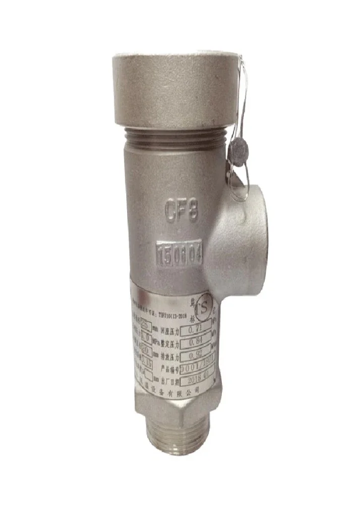 Spring type safety valve Cryogenic safety valve Liquid oxygen nitrogen stainless steel pressure relief valve DA21F-40P