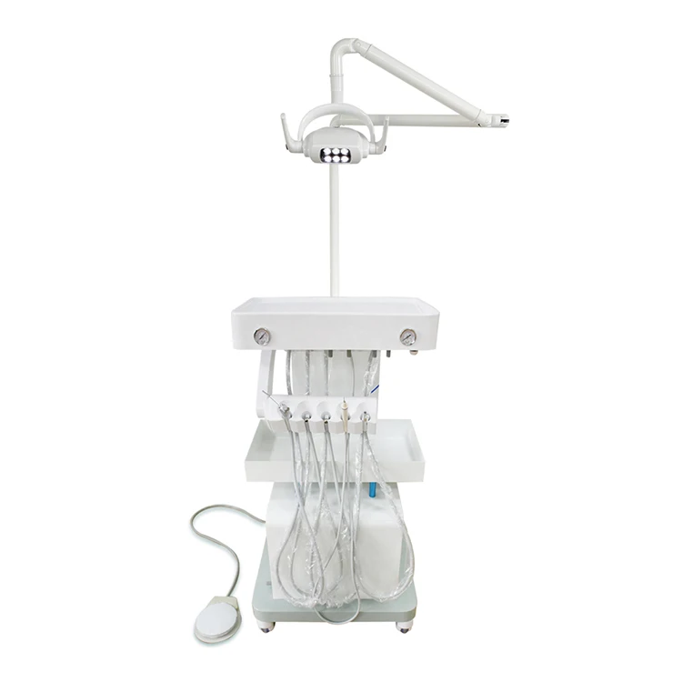 S113L L/uxury Movable De/ntal Unit with LED Lamp for Vet Use D/ental Unit
