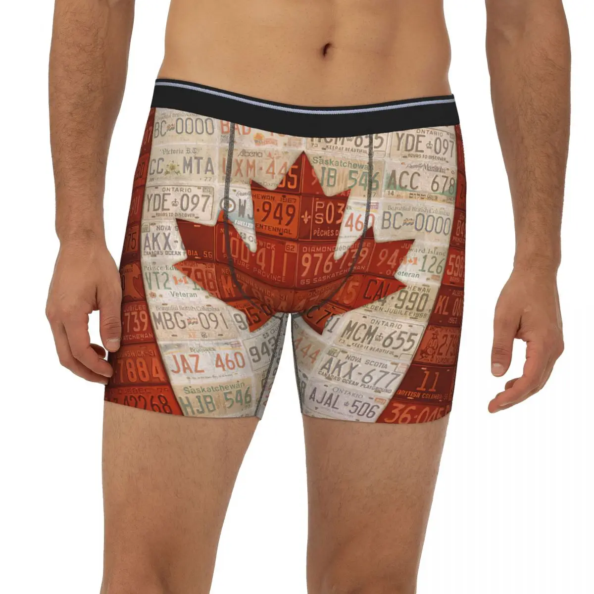 

License Plate Art Flag Of Canada Underpants Breathbale Panties Male Underwear Print Shorts Boxer Briefs extended underwear