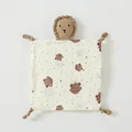 Little Bear Planet