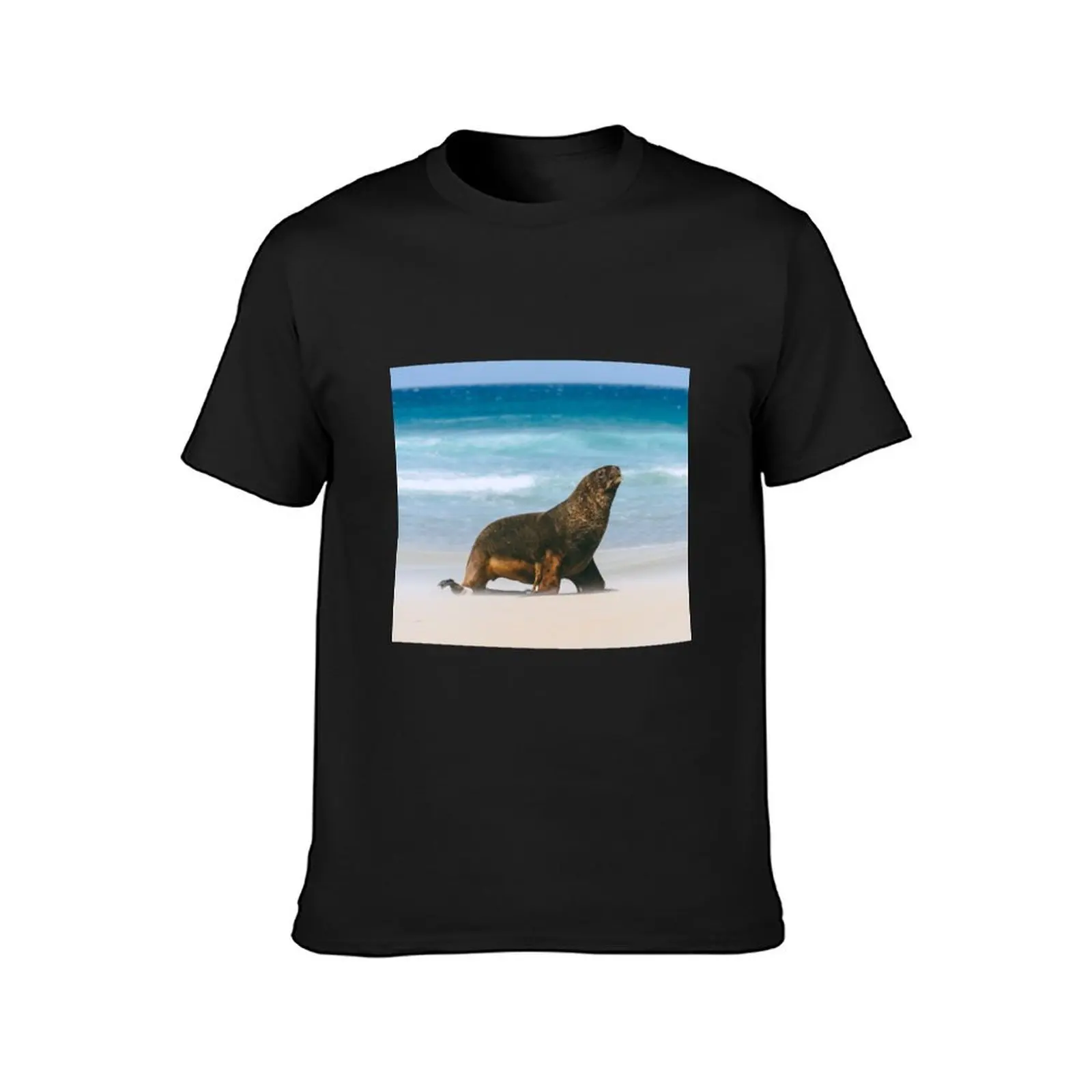 Sea Lion and Ocean Waves at Beach in Otago New Zealand T-Shirt korean fashion oversized quick drying slim fit t shirts for men