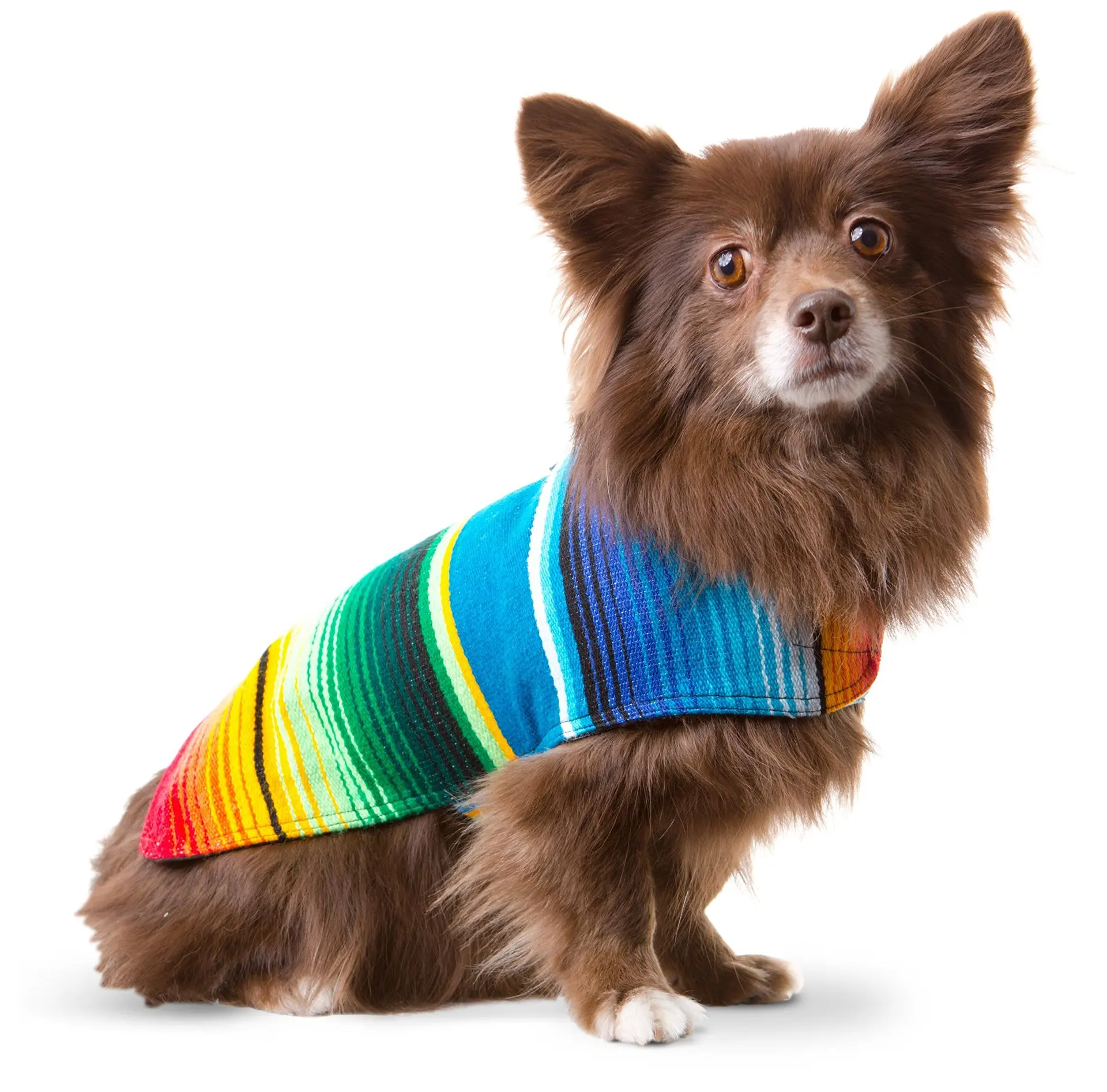 Dog Clothes Funny Dress up Dog Apparel Mexican Dog Poncho Pet Costume Pet Cloak for Carnival Party Holiday Halloween Decoration