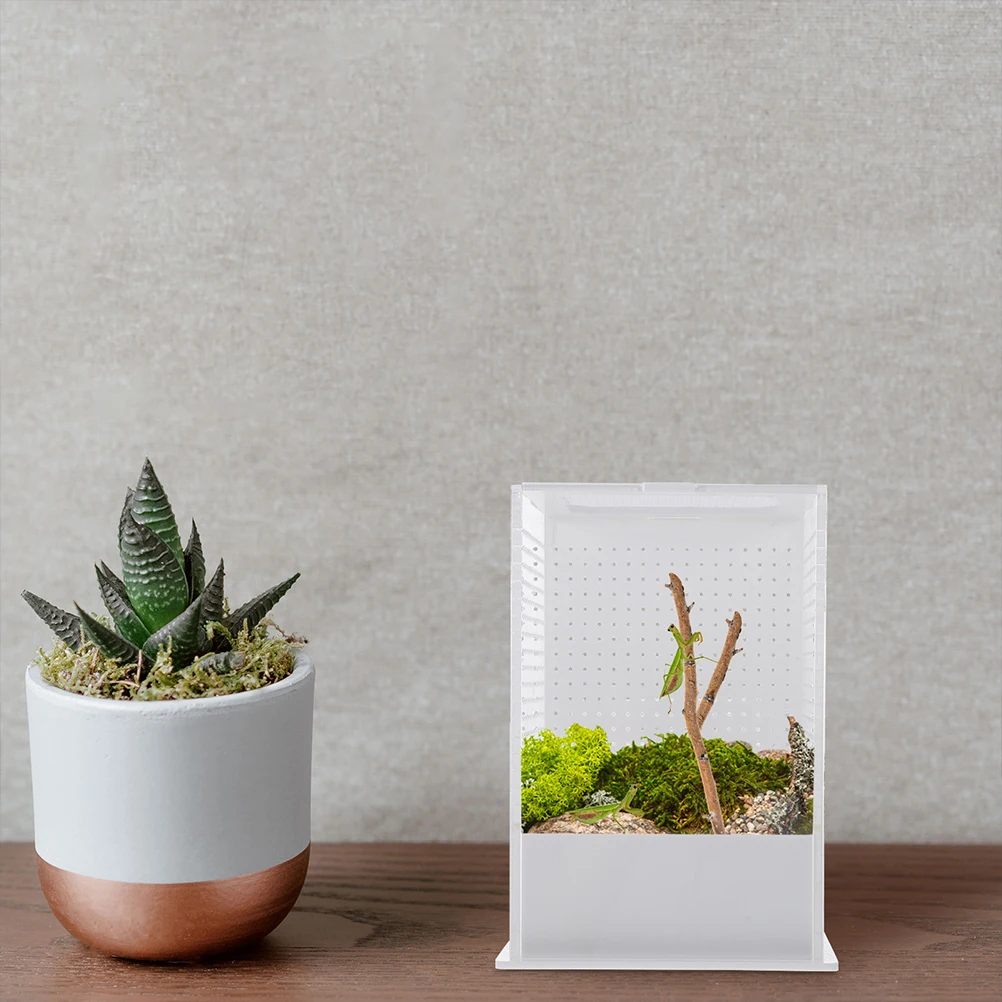 

Acrylic Reptile Terrarium Box for Small Pets Spider Lizard Feeding Container Breathable Clear Insect Rearing Tank Professional