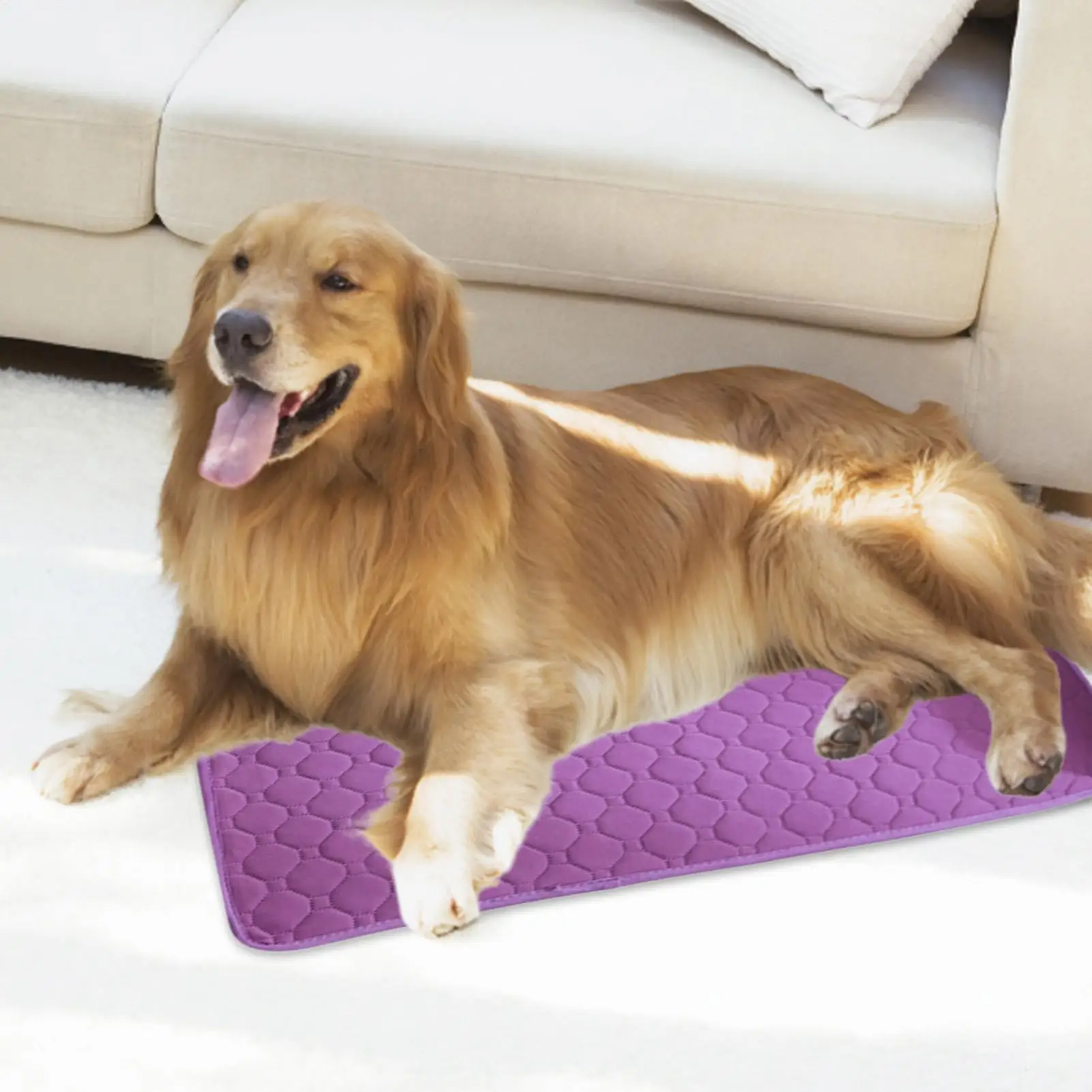 

Reusable Puppy Pads Pee Pads for Dogs Pet Training Pads Waterproof Leakproof Mats Breathable Pet Supplies for Medium Large Small