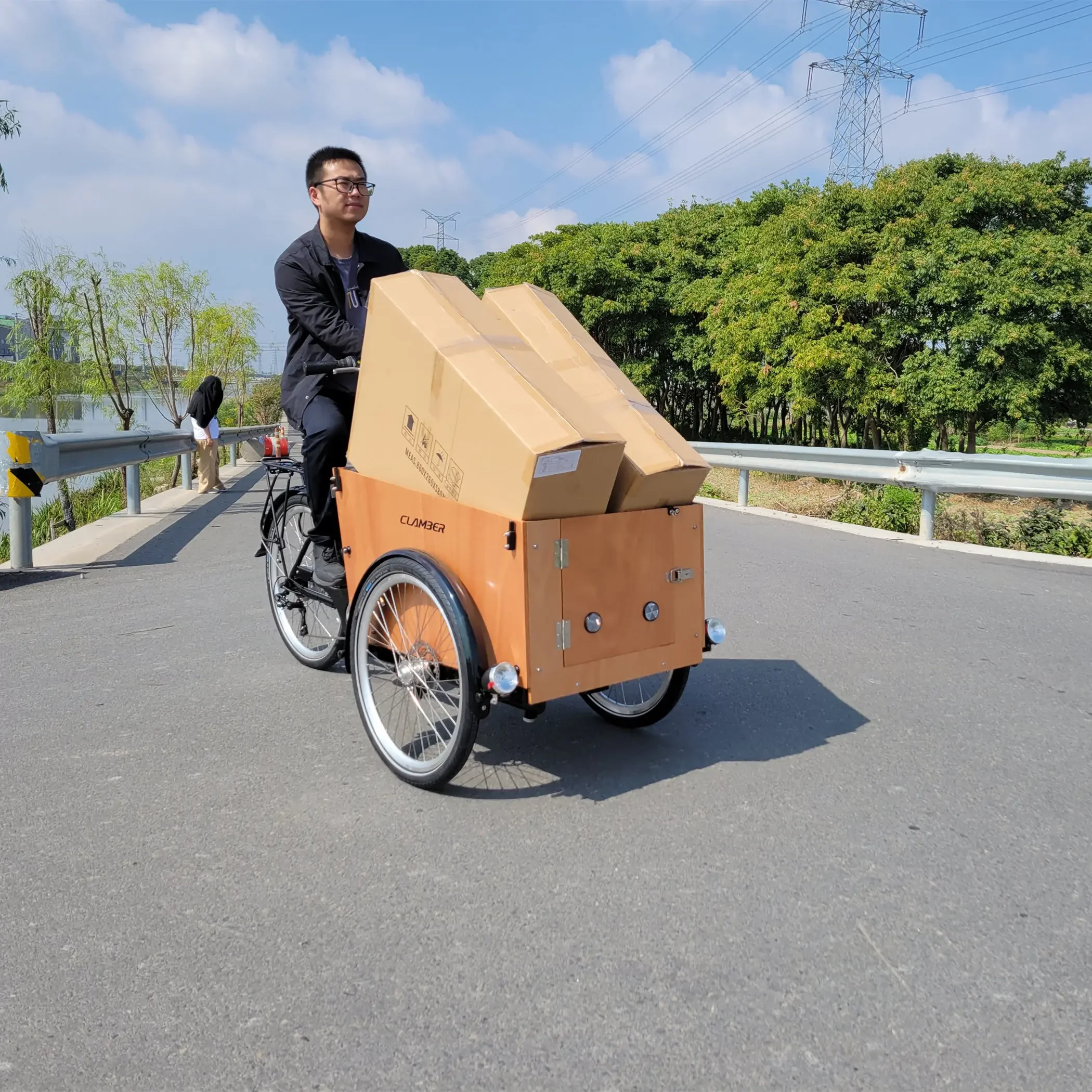 Front Open Door For Take Dog Three Wheel Bicycle Non-electric Cargo Bike 250W Motor Electric Cargo Bicycle Delivery Bike