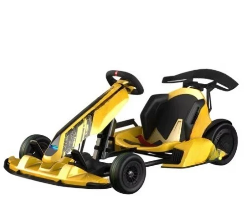 Well-priced Good Quality New Design Pro Bumblebee Edition Outdoor Race Go Karting for All Ages