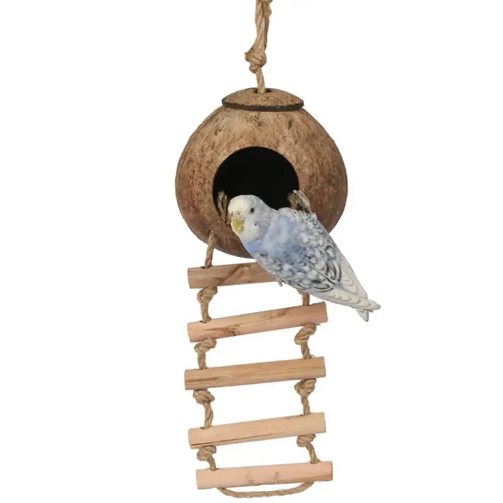 Parc à oiseaux en coquille d\'ampli naturelle, accent d\'oiseau, maison de cachette, fournitures pour hamster, cochons d\'Inde, maisons d\'oiseaux, o\'ats