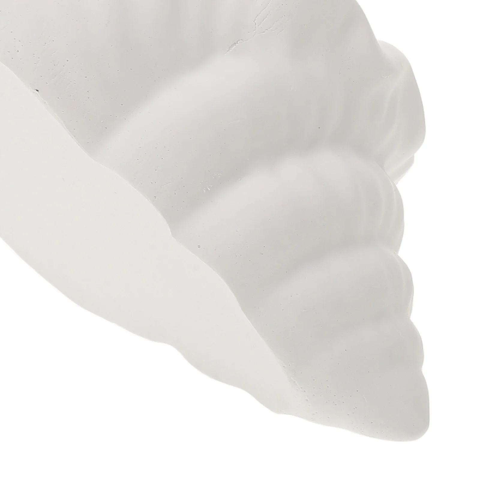 

Conch Trinket Tray Stylish Jewelry Organizer for Bedroom Bathroom Office Decor Ring Earring Pendant Storage Display Stand