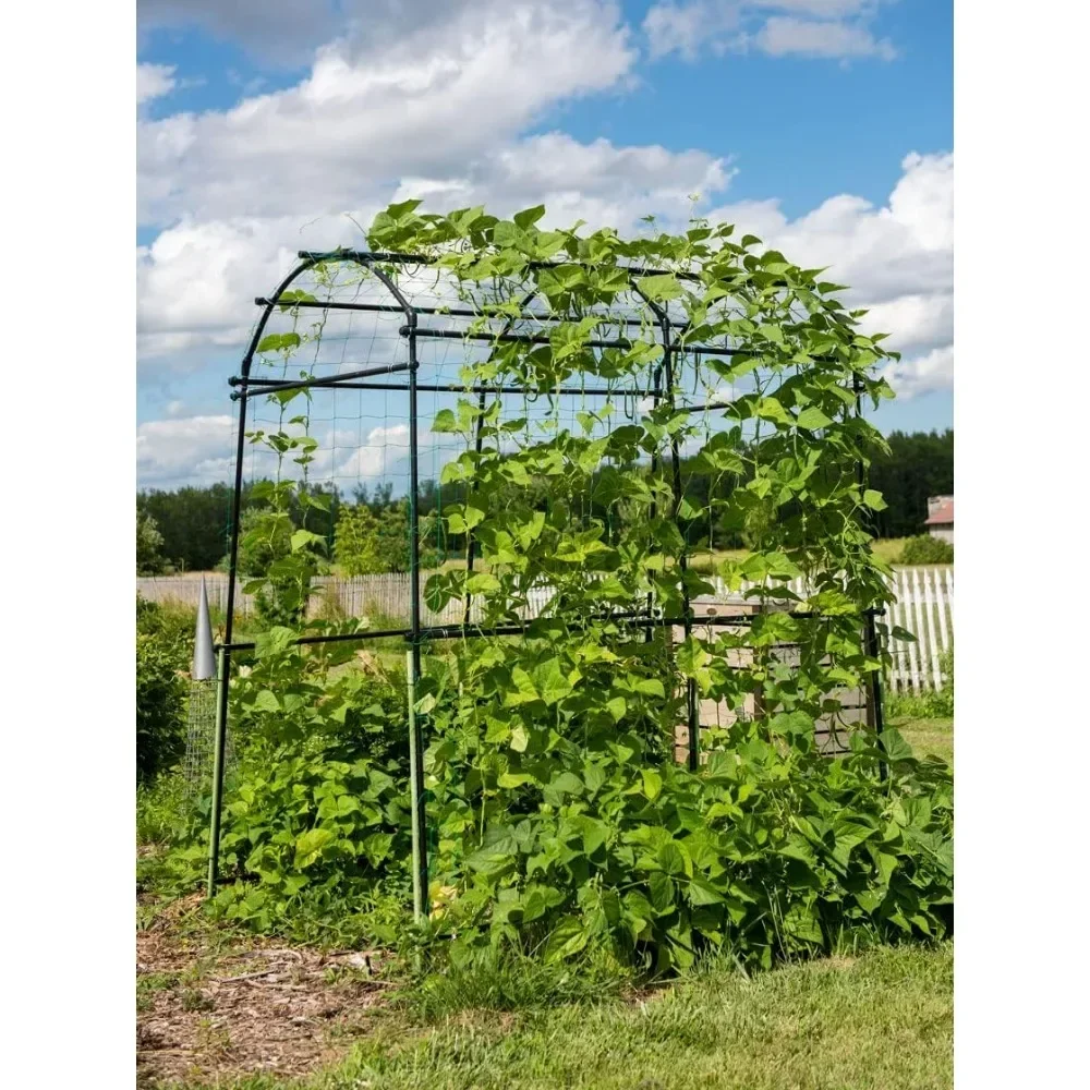 for Extra Tall Garden Arch Arbor 80in Titan Squash Tunnel | Outdoor Lawn Tower & Garden Support Structure，Black, Green