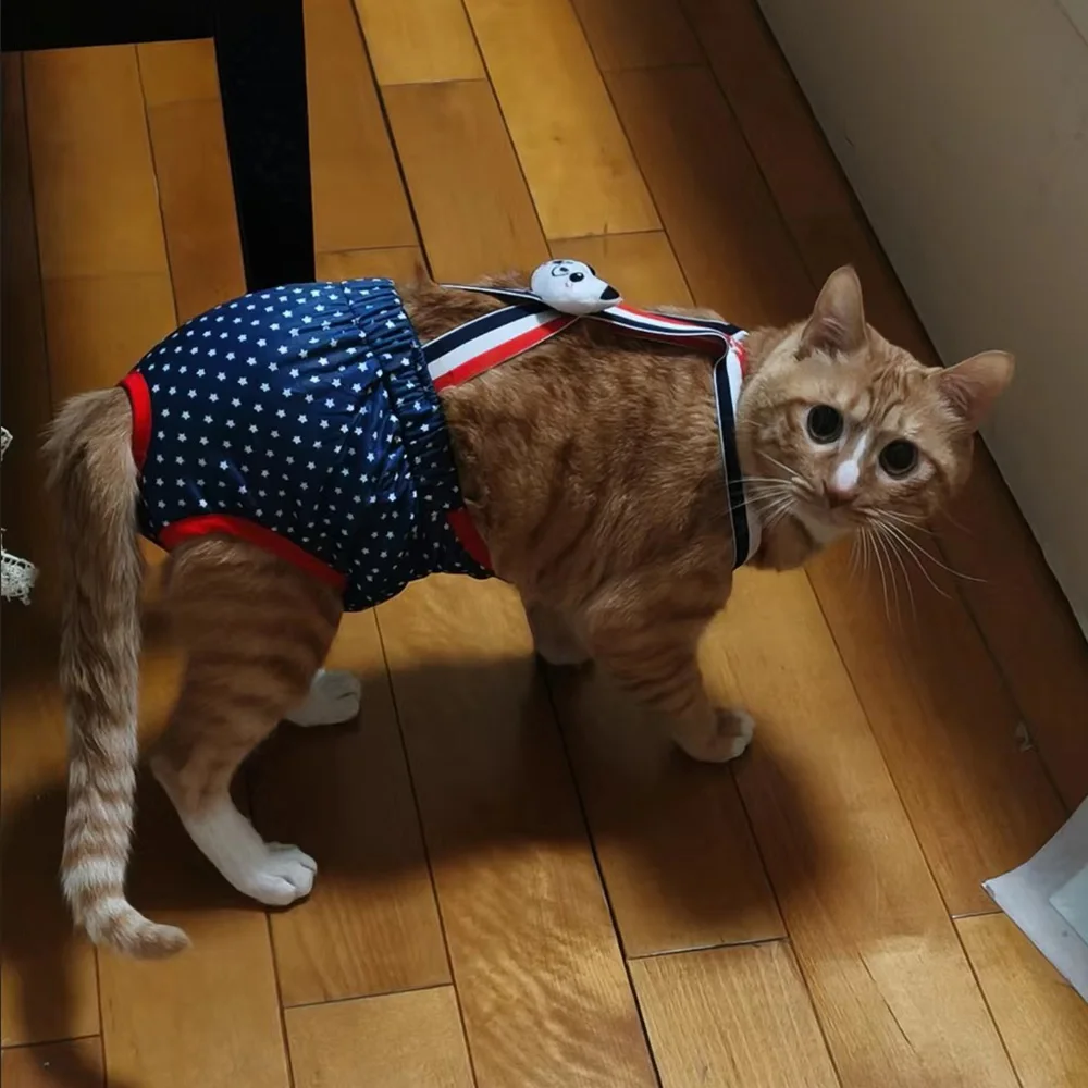 Pantalones Cortos de Dibujos Animados para Gatos y Perros, Ropa Interior Fisiológica para Mascotas, Pañales, Braguitas para Gatas Pequeñas, Perros y Mascotas Siamasas